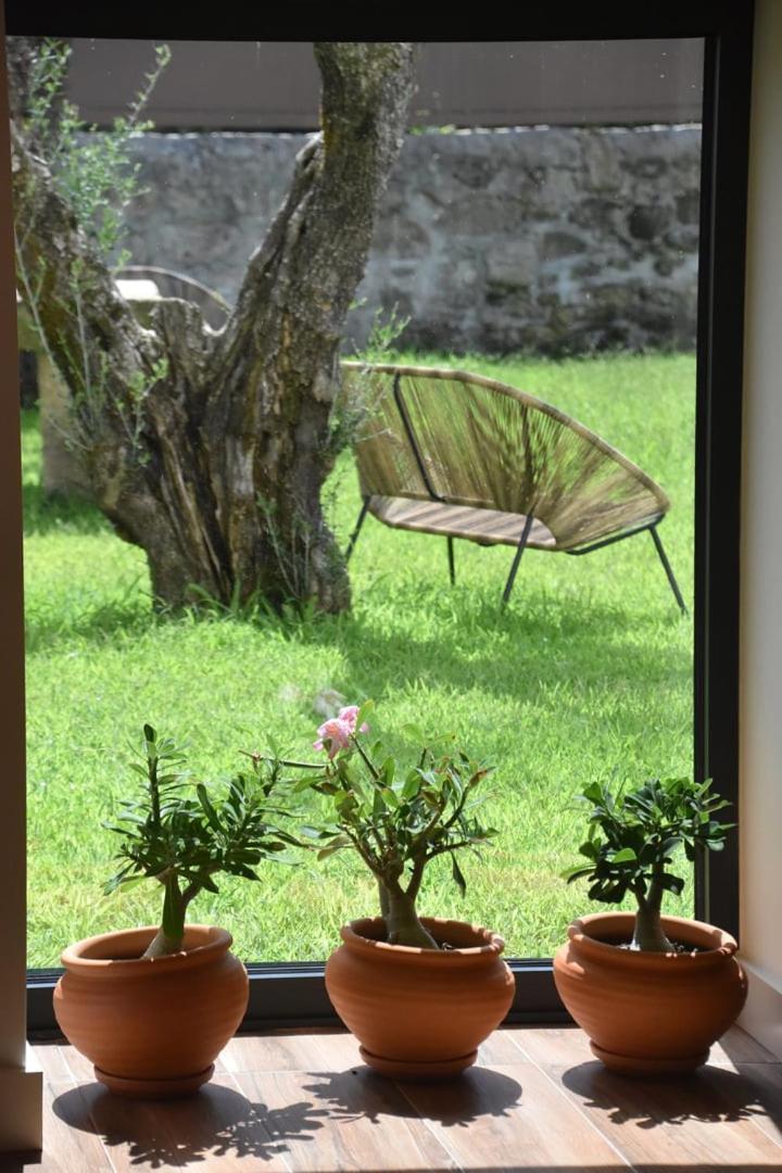 Alminhas Da Mindua - Unique Experiences By Luxistay Vitorino dos Piaes Exterior photo